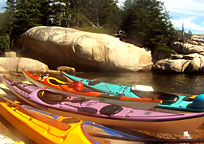 Guided tours and expedition trips
